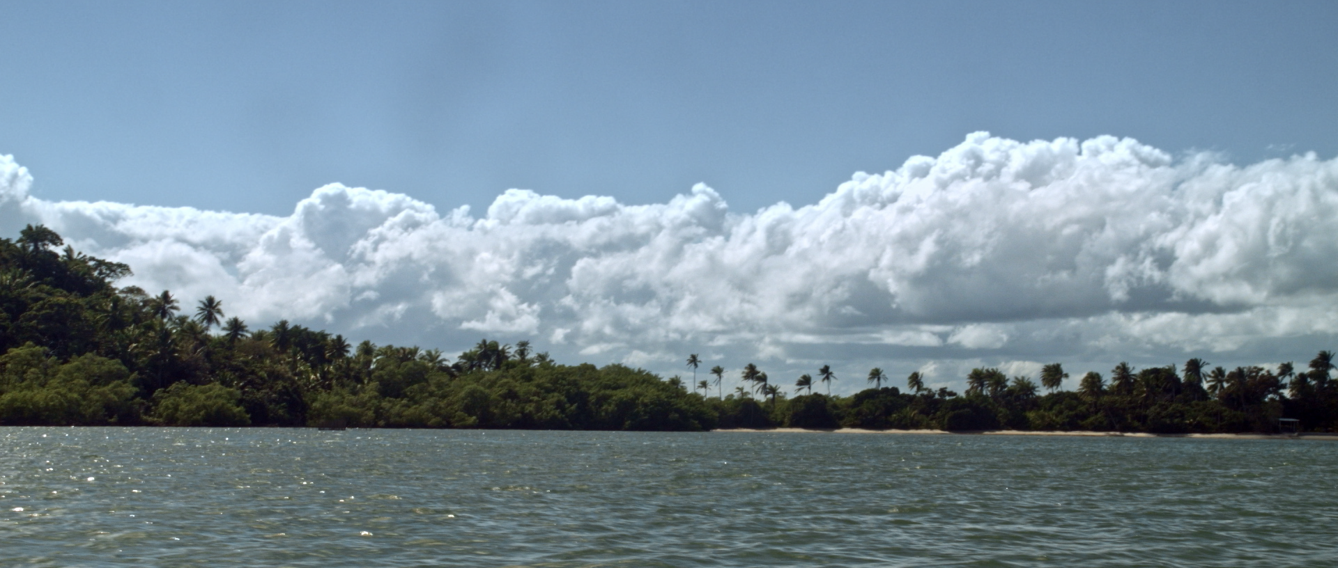 Paisagem com o mar em primeiro plano e muitas árvores ao fundo, com o céu nublado.